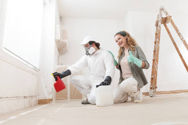 Mold Remediation for Vacation Homes in Ludowici, GA